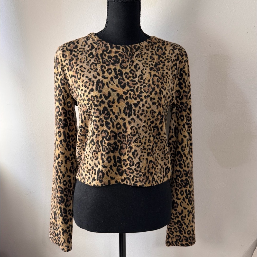 ZARA Cheetah Print Long Sleeve Crop Top